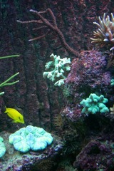 Killikus&reg; Fotographie